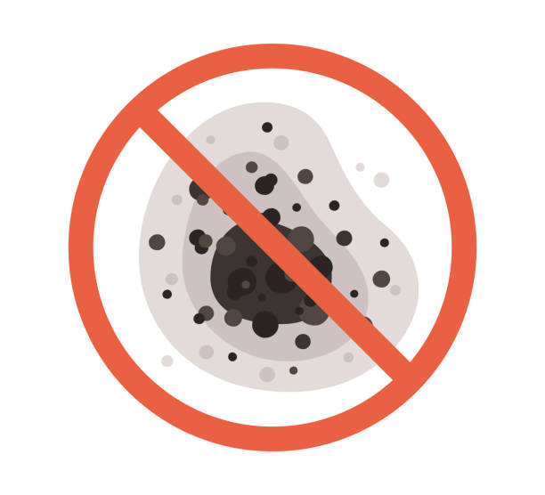 Best Dehumidification Services  in Lowell, OR