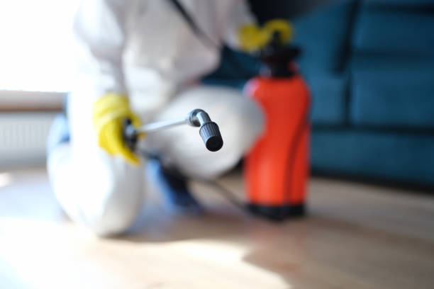 Best HVAC Mold Inspection and Cleaning  in Lowell, OR