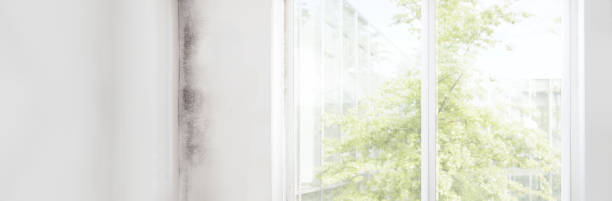 Best Mold-Related Health Consultation  in Lowell, OR
