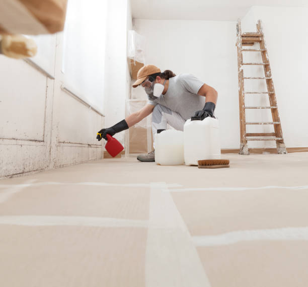Best Indoor Air Quality Assessment  in Lowell, OR