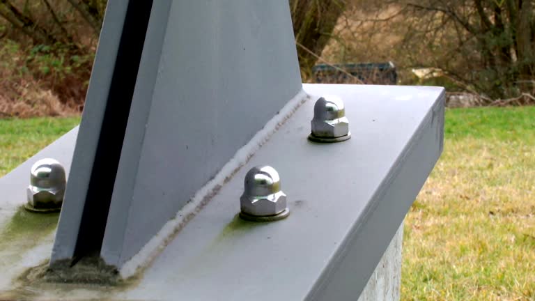 Best Mold Documentation for Insurance Claims  in Lowell, OR