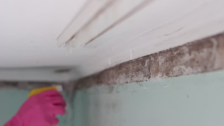 Best Post-Remediation Verification Testing  in Lowell, OR